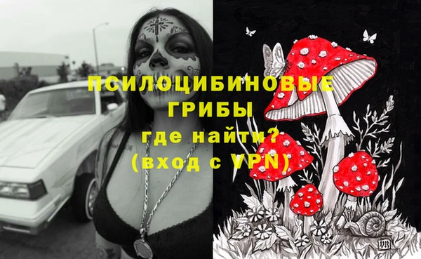 молекула духа Алексин