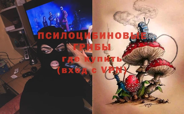 стафф Алексеевка
