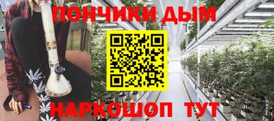 гидра Кингисепп