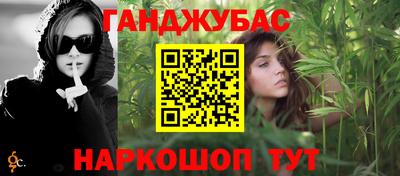 гидра Кингисепп