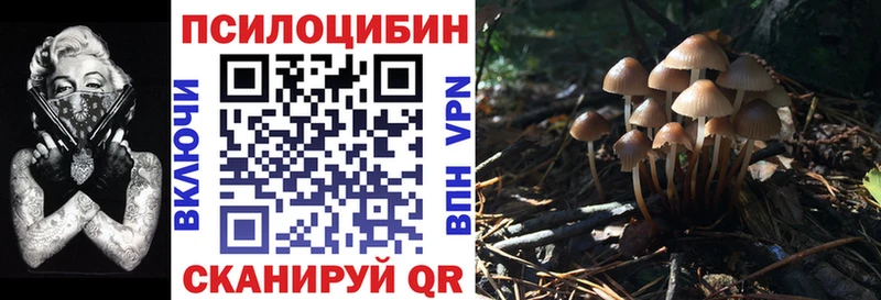 Галлюциногенные грибы MAGIC MUSHROOMS Кольчугино
