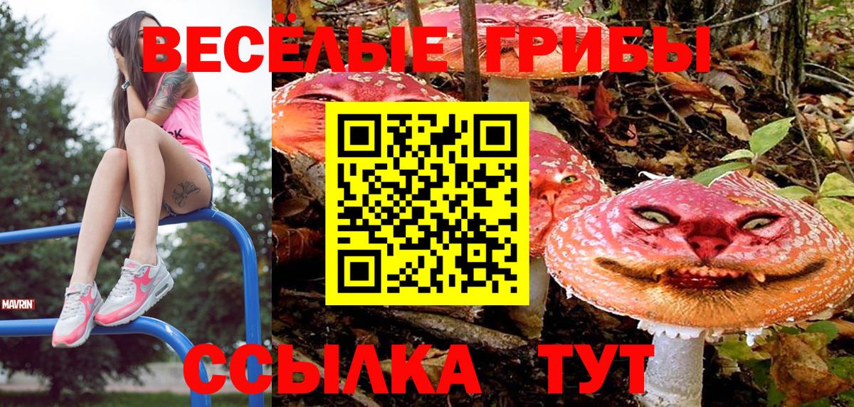 как найти   Вход с VPN  Кольчугино  Псилоцибиновые грибы MAGIC MUSHROOMS 