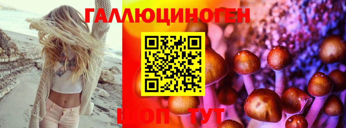 Псилоцибиновые грибы GOLDEN TEACHER Кольчугино